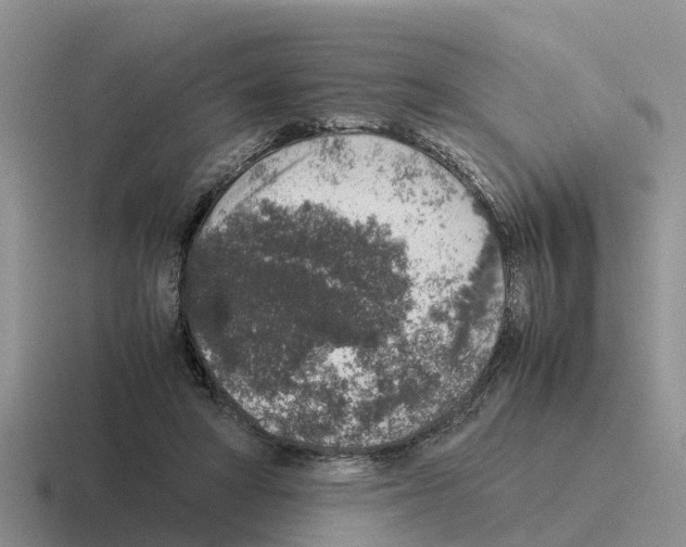 X0000116100402201001040956