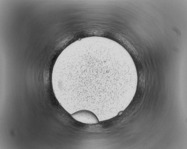 X0000116100403201001040956