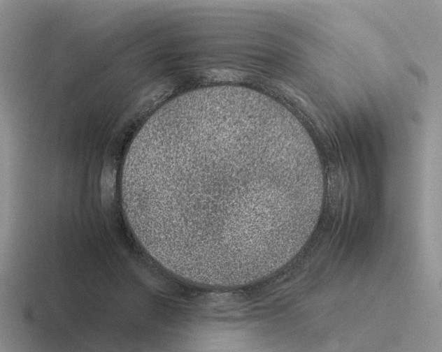 X0000116100406201001040956