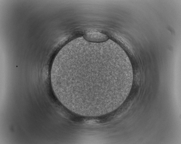 X0000116100407201001040956