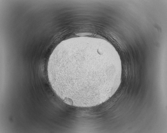 X0000116100408201001040956