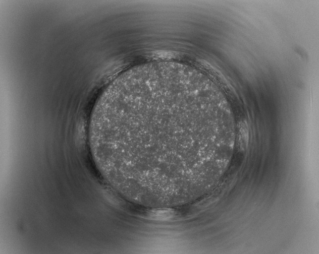 X0000116100410201001040955