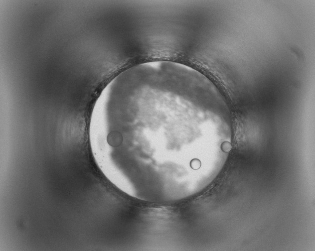 X0000116100411201001040955