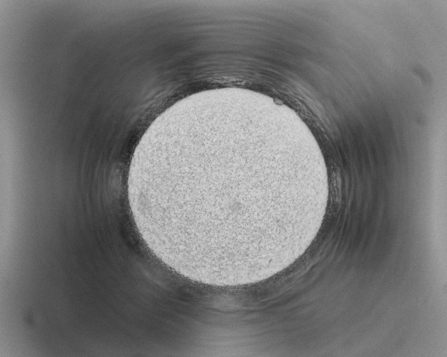 X0000116100412201001040955