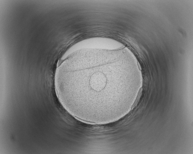 X0000116100413201001040955