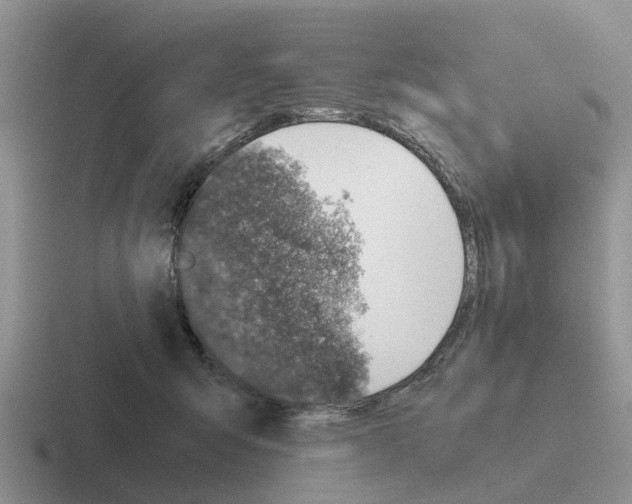 X0000116100415201001040955