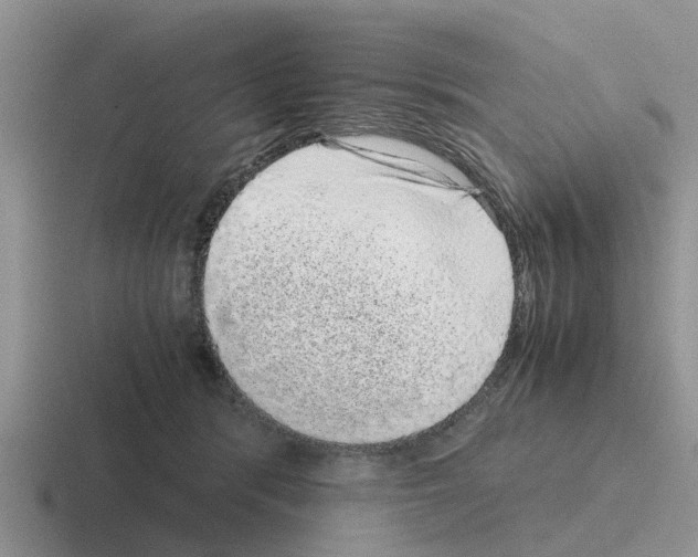 X0000116100416201001040955