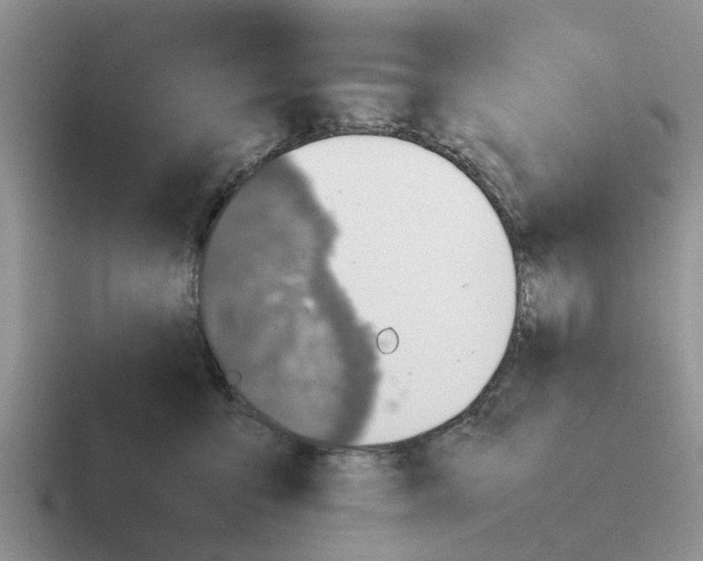 X0000116100419201001040955