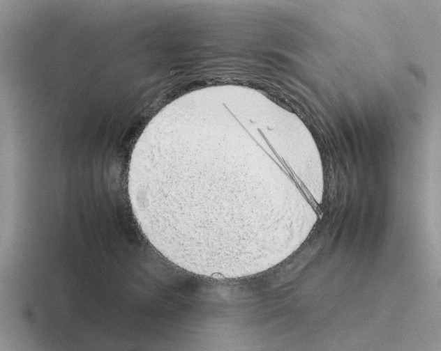 X0000116100420201001040955