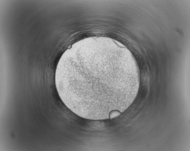 X0000116100421201001040955