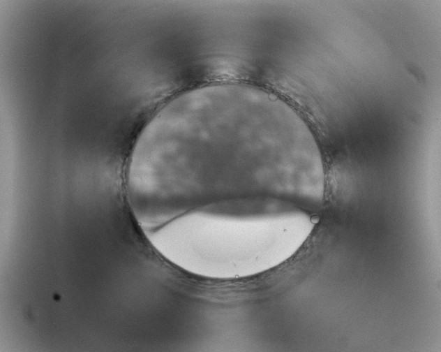 X0000116100423201001040955