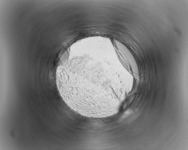 X0000116100424201001040955