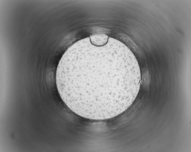 X0000116100426201001040955