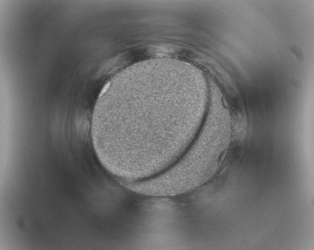 X0000116100427201001040955