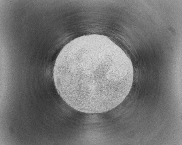 X0000116100428201001040955