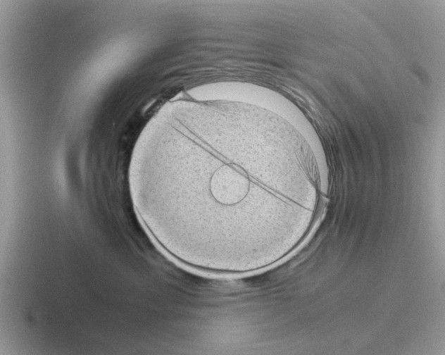 X0000116100429201001040955