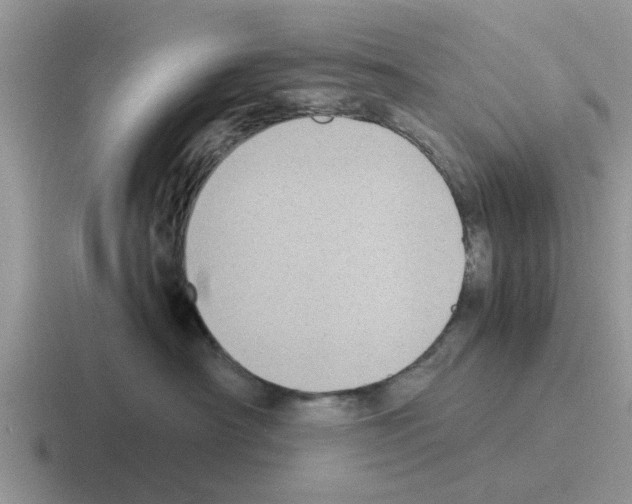 X0000116100430201001040955