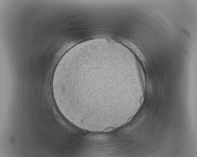 X0000116100433201001040955