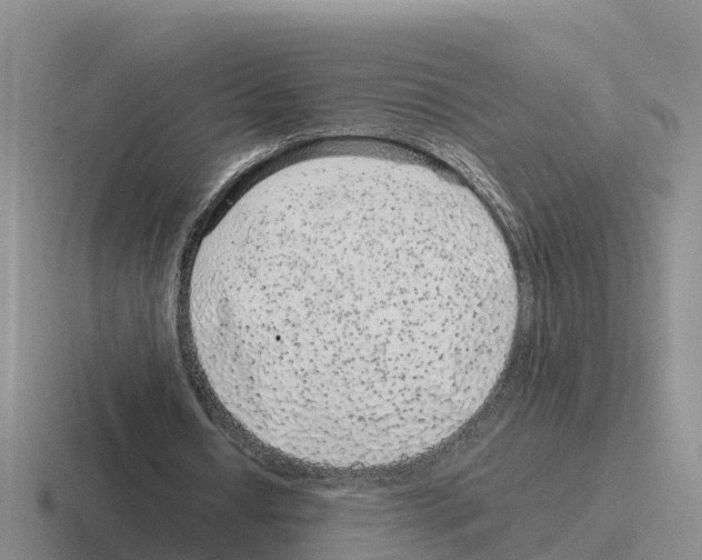 X0000116100434201001040955