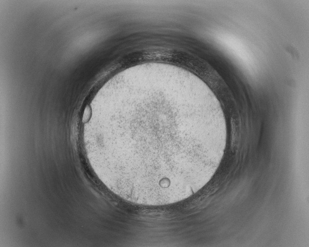 X0000116100435201001040955