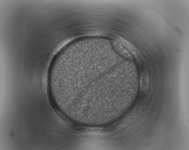 X0000116100436201001040955