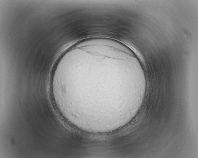 X0000116100437201001040955