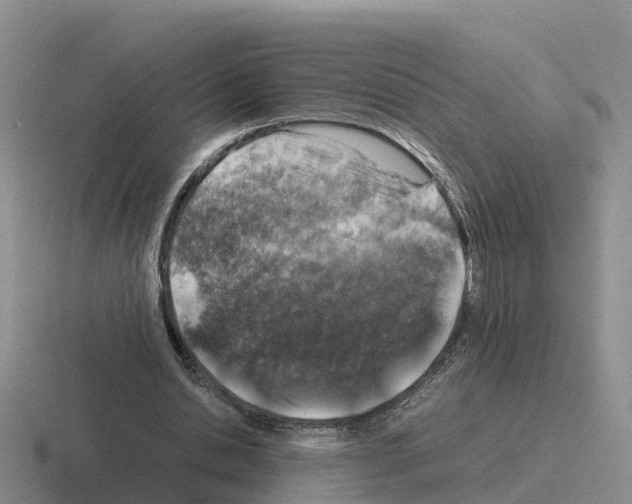 X0000116100438201001040955