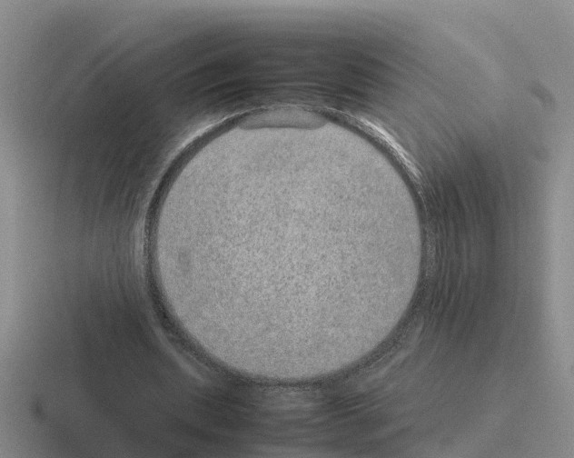 X0000116100439201001040955