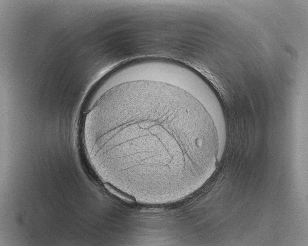 X0000116100440201001040955