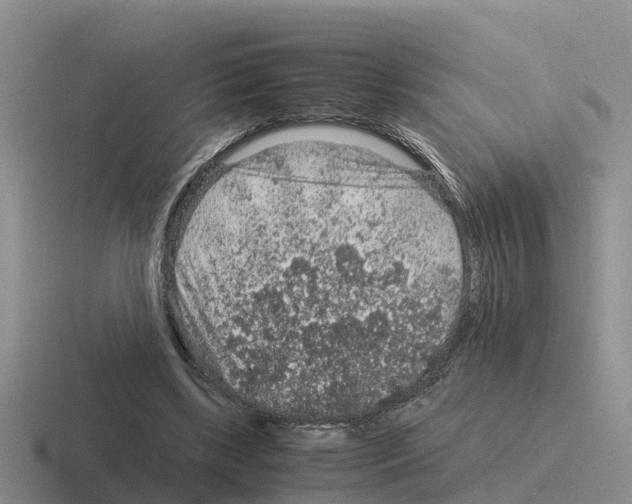 X0000116100443201001040955