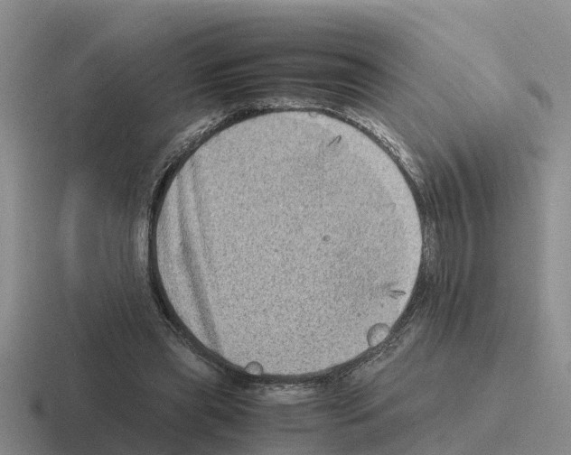 X0000116100445201001040955