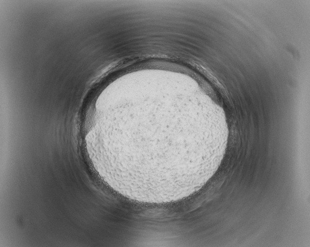 X0000116100446201001040955