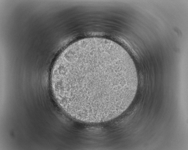 X0000116100447201001040955