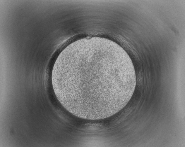 X0000116100448201001040955