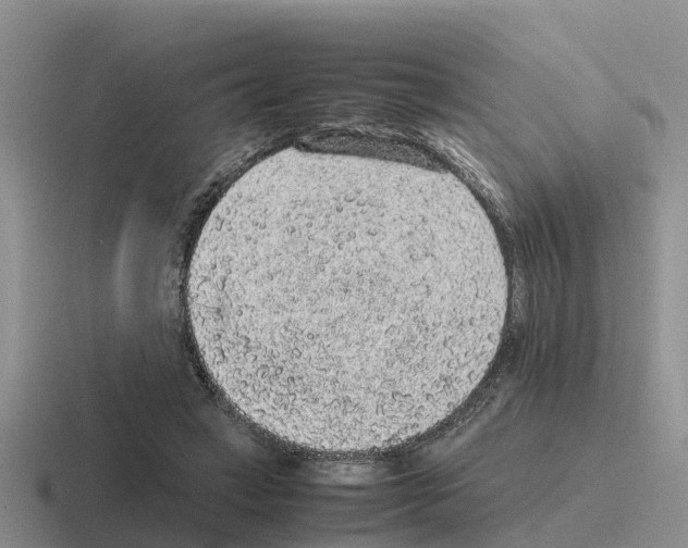 X0000116100449201001040955