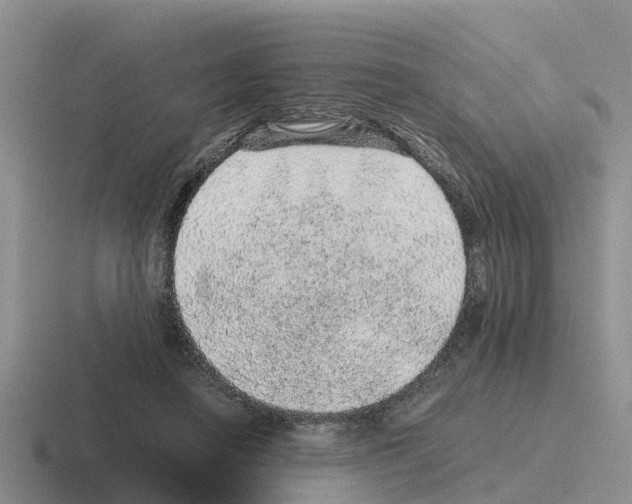 X0000116100450201001040955