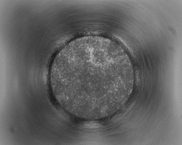 X0000116100451201001040955