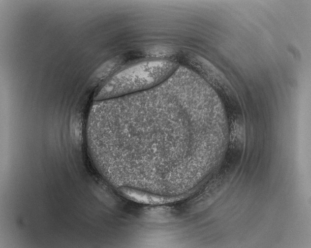 X0000116100452201001040955