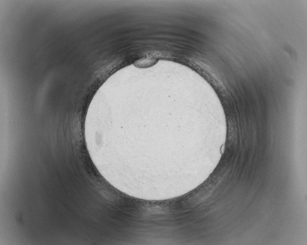 X0000116100453201001040955