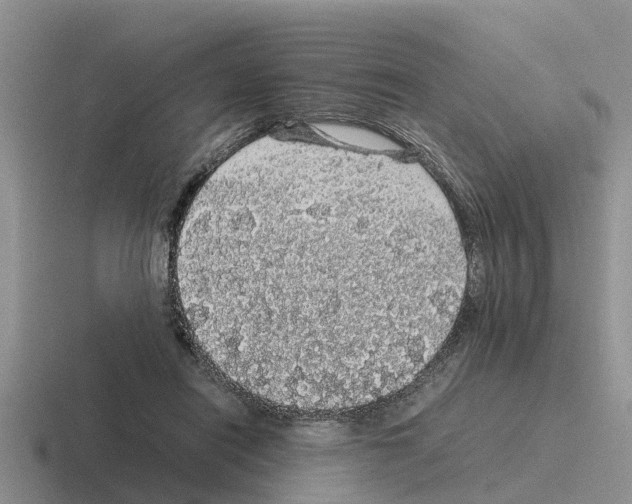 X0000116100454201001040955