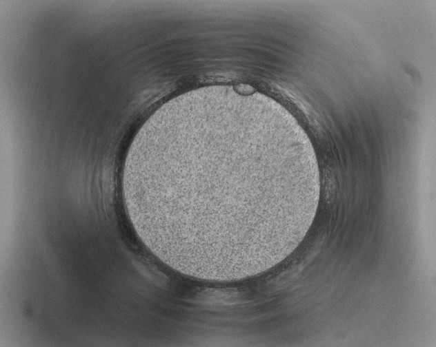 X0000116100455201001040955