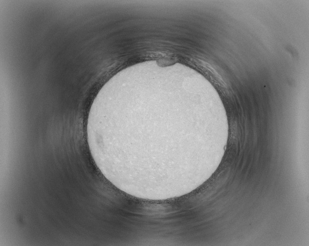 X0000116100457201001040955