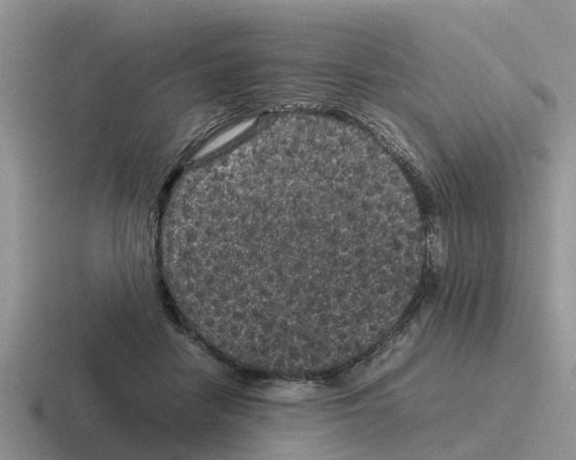 X0000116100458201001040955