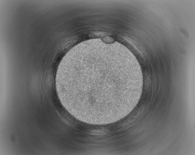 X0000116100459201001040955