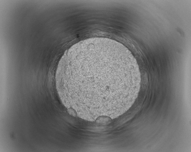 X0000116100463201001040955