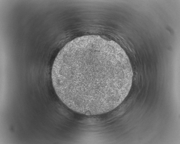 X0000116100466201001040955