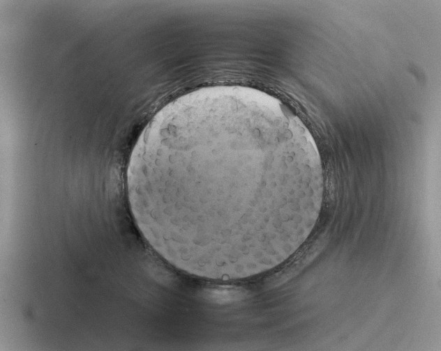 X0000116100467201001040955