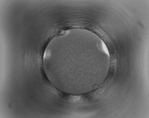 X0000116100469201001040955