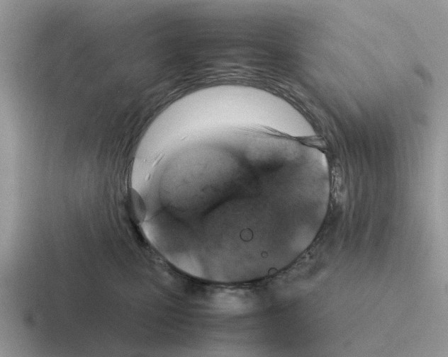 X0000116100471201001040955