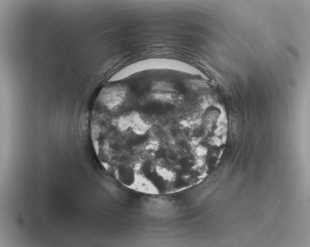 X0000116100475201001040955